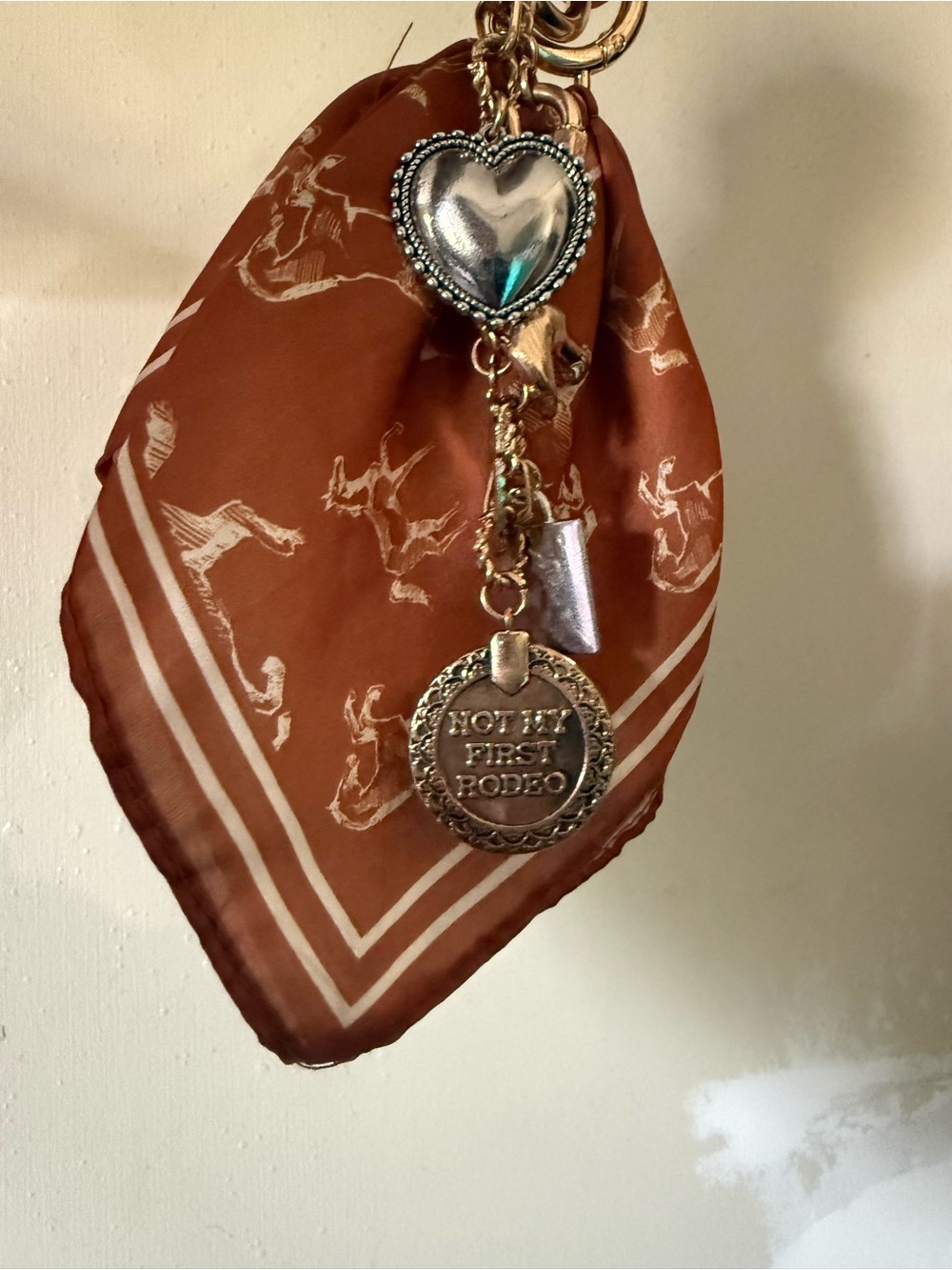 Coach Brown Signature Crossbody - Picture 3 of 4